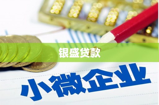 花山银盛贷款