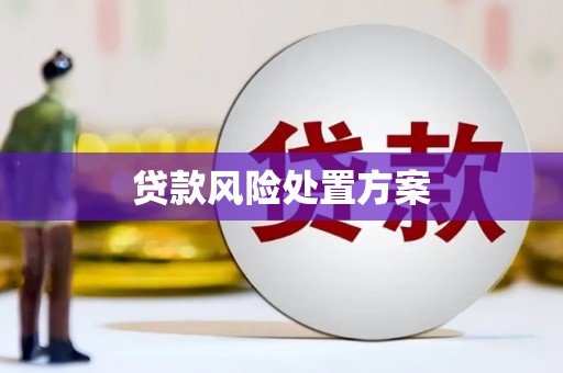 花山贷款风险处置方案