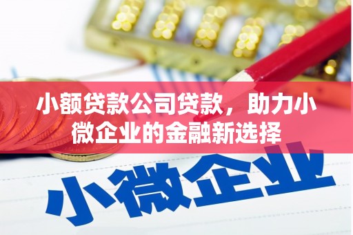 花山小额贷款公司贷款，助力小微企业的金融新选择