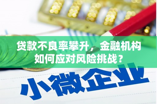 花山贷款不良率攀升，金融机构如何应对风险挑战？