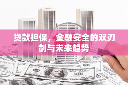 花山贷款担保，金融安全的双刃剑与未来趋势