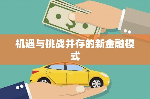 花山机遇与挑战并存的新金融模式