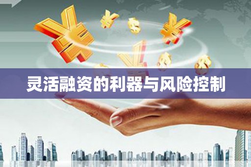 花山灵活融资的利器与风险控制