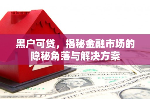 花山黑户可贷，揭秘金融市场的隐秘角落与解决方案
