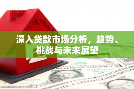 花山深入贷款市场分析，趋势、挑战与未来展望