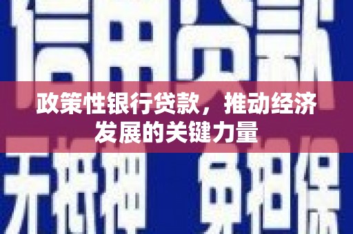 花山政策性银行贷款，推动经济发展的关键力量