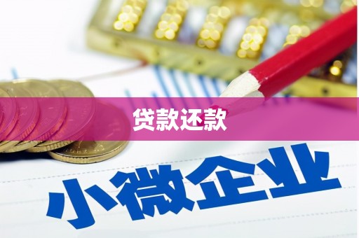 花山贷款还款