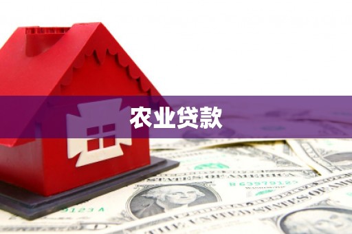 花山农业贷款