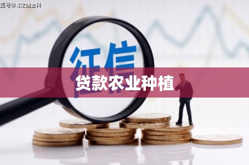 花山贷款农业种植