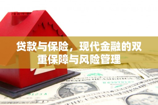 花山贷款与保险，现代金融的双重保障与风险管理