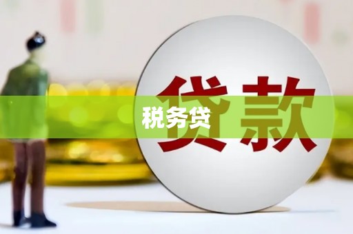 花山税务贷