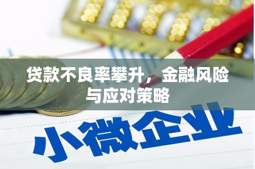 花山贷款不良率攀升，金融风险与应对策略