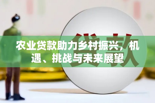 花山农业贷款助力乡村振兴，机遇、挑战与未来展望