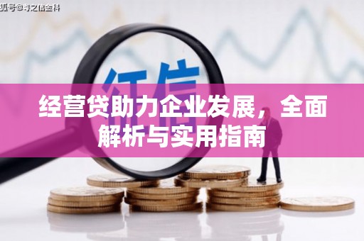 花山经营贷助力企业发展，全面解析与实用指南