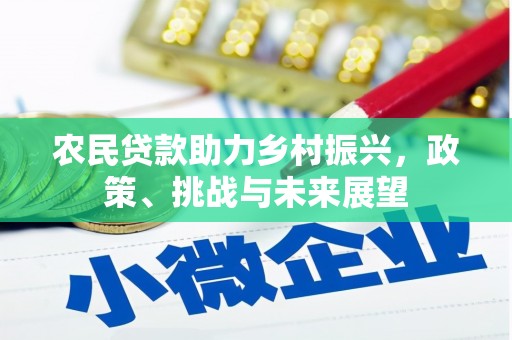 花山农民贷款助力乡村振兴，政策、挑战与未来展望