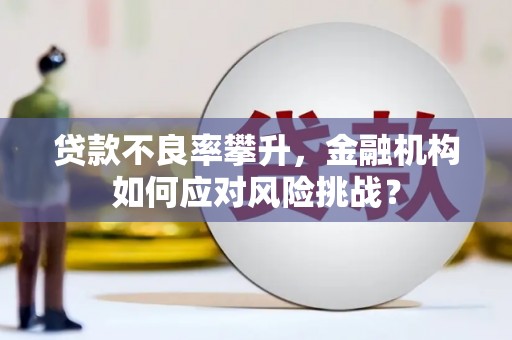 花山贷款不良率攀升，金融机构如何应对风险挑战？