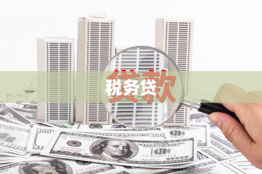 花山税务贷