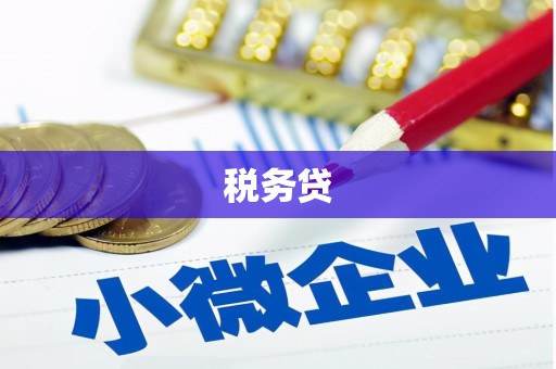 花山税务贷