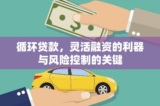花山循环贷款，灵活融资的利器与风险控制的关键