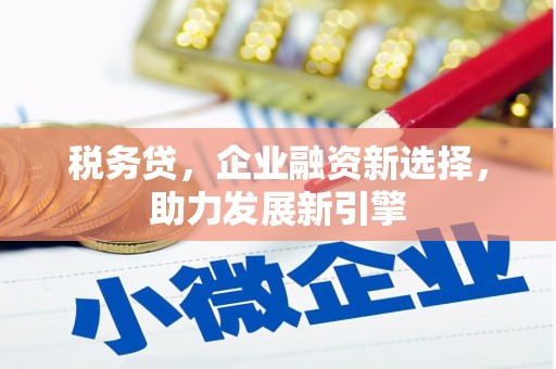 花山税务贷，企业融资新选择，助力发展新引擎