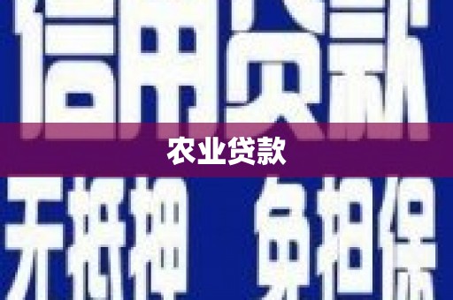 花山农业贷款
