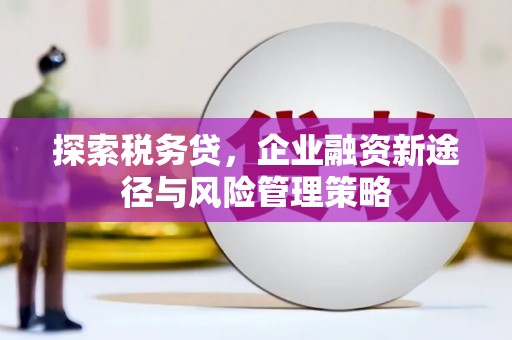 花山探索税务贷，企业融资新途径与风险管理策略