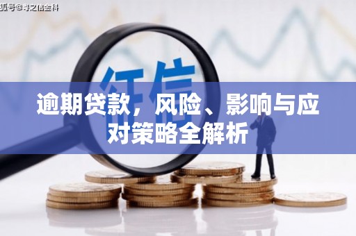 花山逾期贷款，风险、影响与应对策略全解析