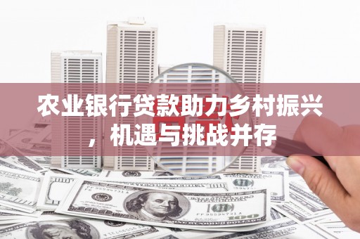 花山农业银行贷款助力乡村振兴，机遇与挑战并存
