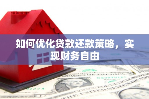 花山如何优化贷款还款策略，实现财务自由
