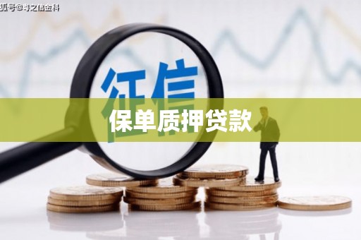 花山保单质押贷款