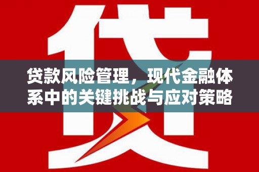 花山贷款风险管理，现代金融体系中的关键挑战与应对策略