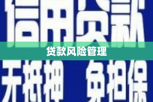花山贷款风险管理