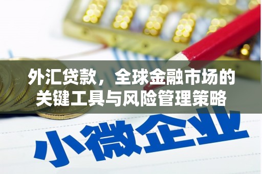 花山外汇贷款，全球金融市场的关键工具与风险管理策略