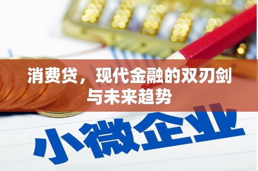花山消费贷，现代金融的双刃剑与未来趋势