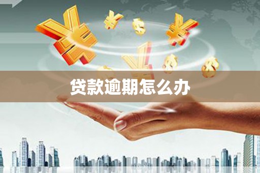 花山贷款逾期怎么办
