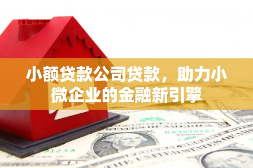 花山小额贷款公司贷款，助力小微企业的金融新引擎