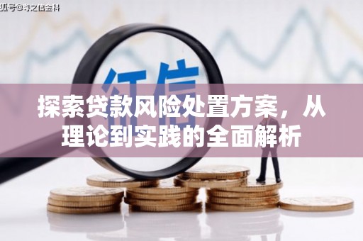 花山探索贷款风险处置方案，从理论到实践的全面解析