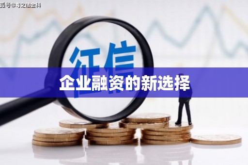 花山企业融资的新选择