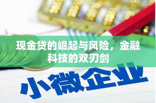 花山现金贷的崛起与风险，金融科技的双刃剑