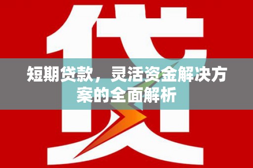 花山短期贷款，灵活资金解决方案的全面解析