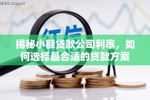 花山揭秘小额贷款公司利率，如何选择最合适的贷款方案
