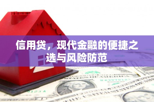 花山信用贷，现代金融的便捷之选与风险防范