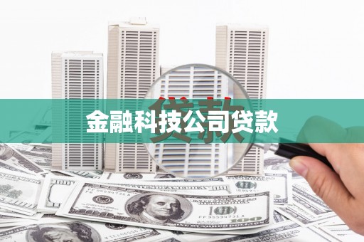 花山金融科技公司贷款