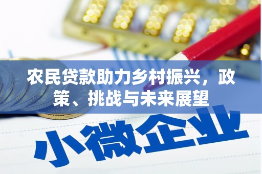 花山农民贷款助力乡村振兴，政策、挑战与未来展望