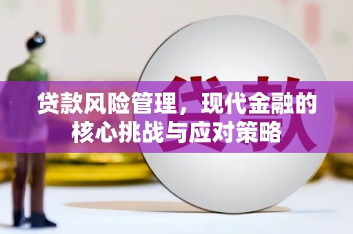 花山贷款风险管理，现代金融的核心挑战与应对策略