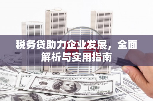 花山税务贷助力企业发展，全面解析与实用指南