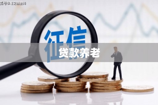 花山贷款养老