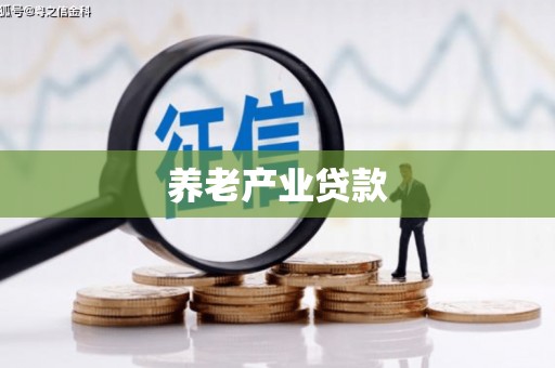 花山养老产业贷款
