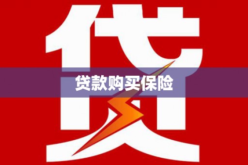 花山贷款购买保险