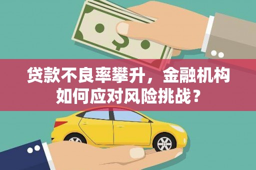 花山贷款不良率攀升，金融机构如何应对风险挑战？